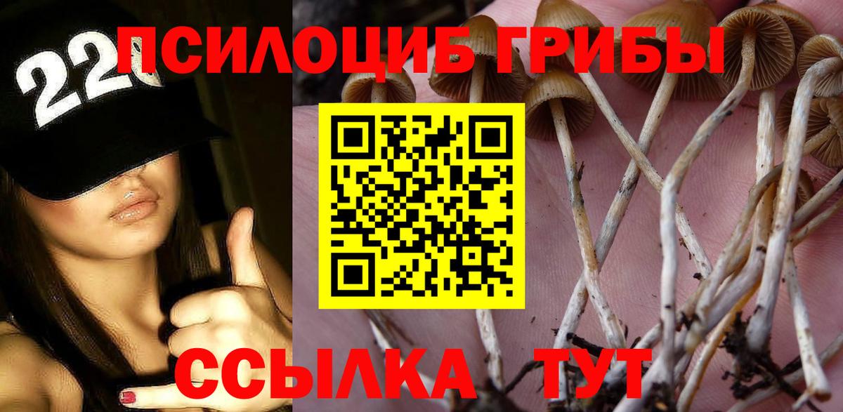 Галлюциногенные грибы GOLDEN TEACHER  Вход с VPN  Берёзовский 
